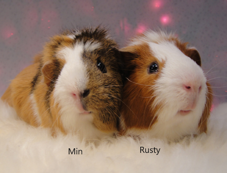 Min & Rusty